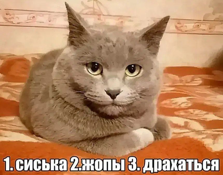 1. сиська 3. драхаться