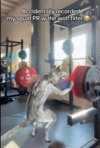 Accidentally recorded my squat the wolf filter 8