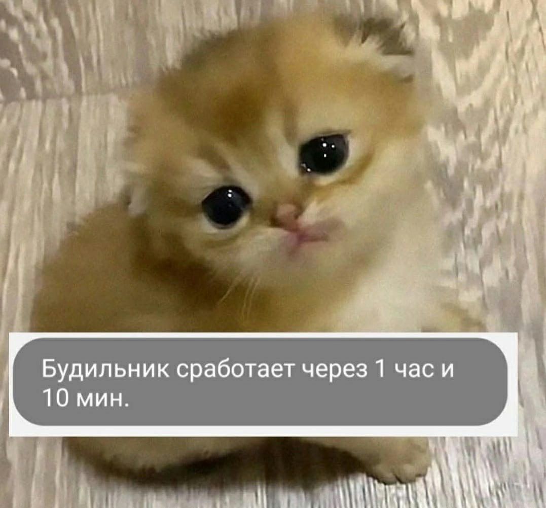 Будильник сработает через 1 час и В 10 мин.