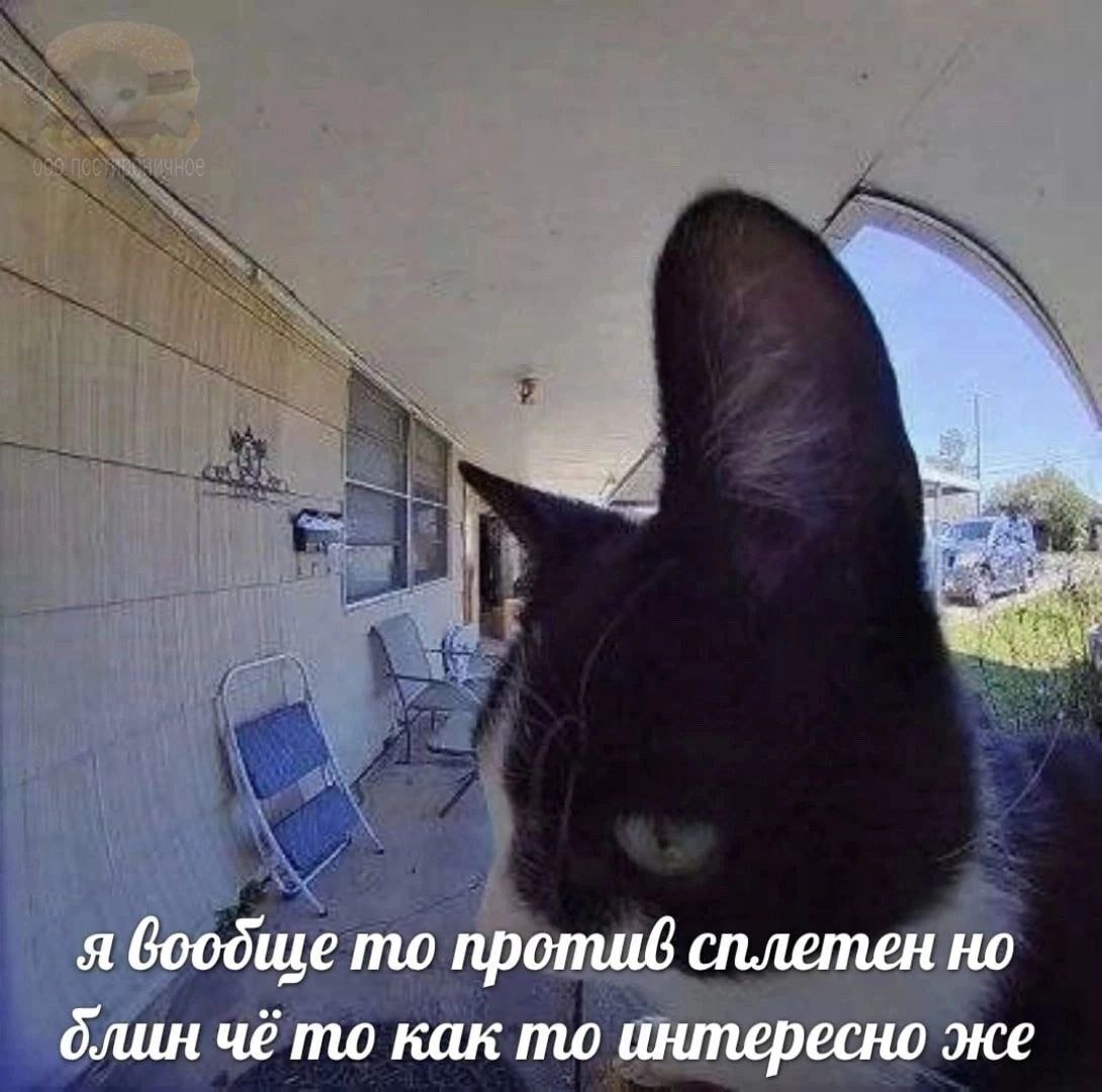 я воодще то против сплетен но длин чё то как то интересно же