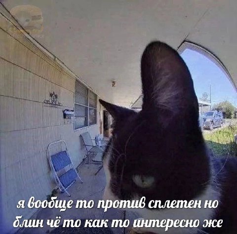 я воодще то против сплетен но длин чё то как то интересно же