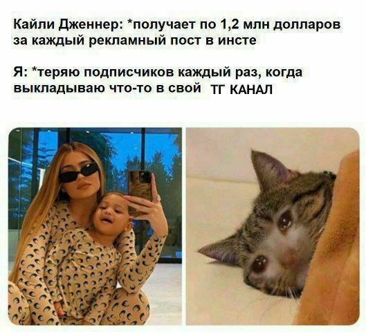 Кайли Дженнер: *получает по 1,2 млн долларов за каждый рекламный пост в инсте Я: *теряю подписчиков каждый раз, когда выкладываю что-то в свой КАНАЛ 4 у 0