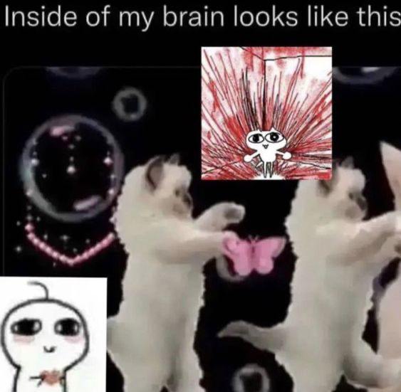 Inside of my brain like this