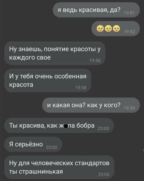 я ведь красивая, да? Ну знаешь, понятие красоты у каждого свое И утебя очень особенная красота и какая она? как у кого? Ты красива, как ж бобра Я серьёзно Ну для человеческих стандартов ты страшнинька