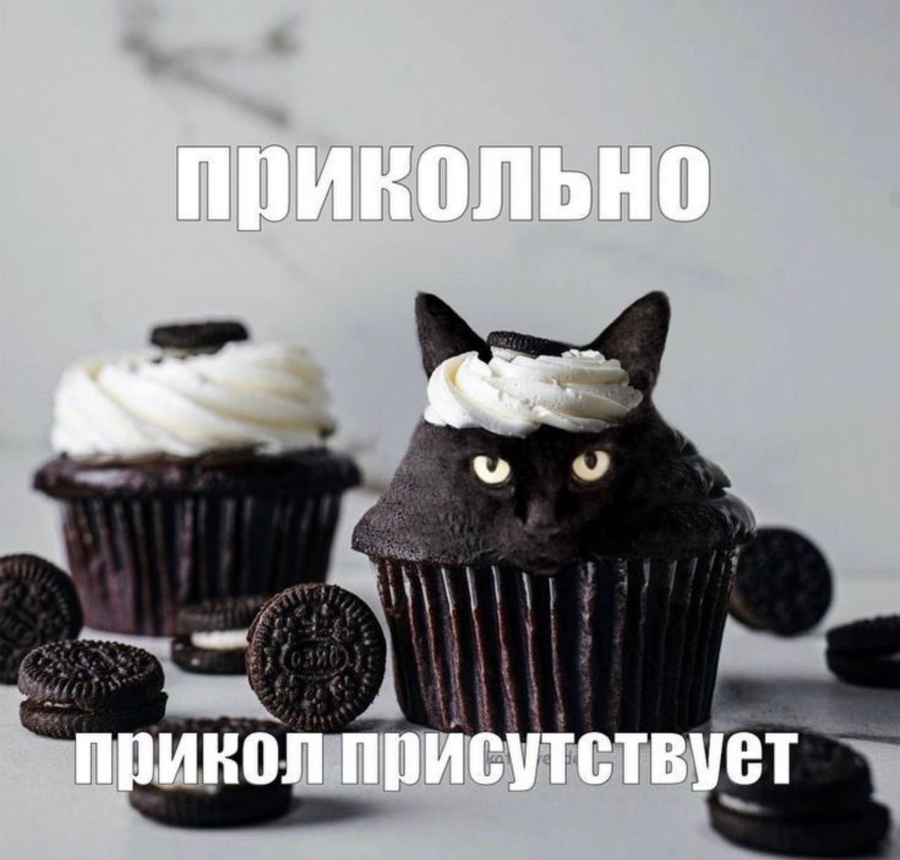 прикольно прикол присутствует