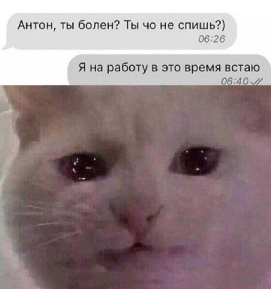 Антон, ты болен? Ты не спишь?) 06:26 Я на работу в это время встаю 06:40
