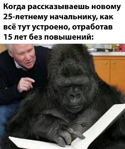 Когда рассказываешь новому 25-летнему начальнику, как всё тут устроено, отработав 15 лет без повышений: