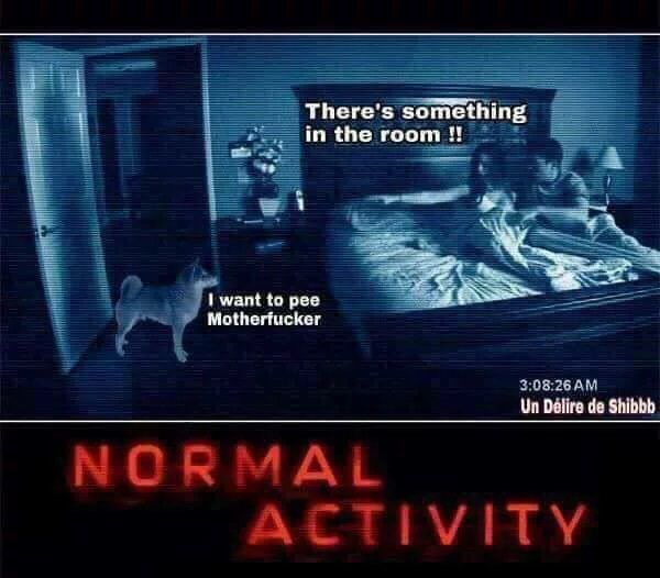 There's something inthe room 1 want to рее Motherfucker 205 Shibbb