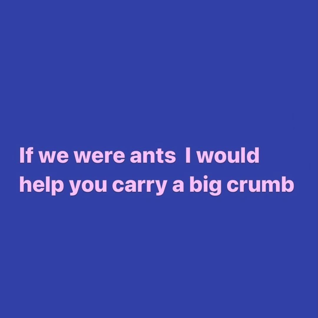 we were ants would help you carry a big crumb