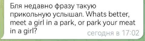 Бля недавно фразу такую прикольную услышал. Whats better, meet a girl in a park, or park your meat in a girl? сегодня в 17:02