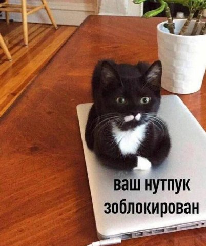 нутпук зоблокирован