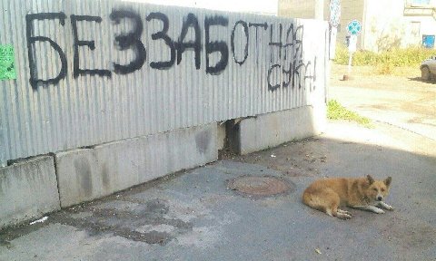 i И У 1 a he mal у i i i i и у 9 it 4 it Hid в: i i BEES i] А, 5 i 3