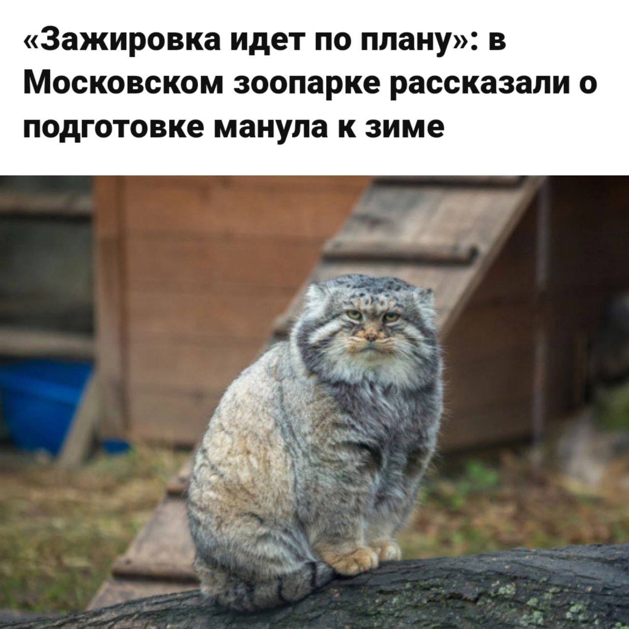 +