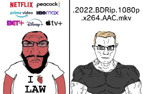 NETFLIX peacock: prime video HBOMax .x264.AAC.mkv BET+ 1% LAW Jit