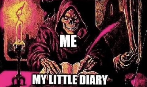 as MY LITTLE DIARY