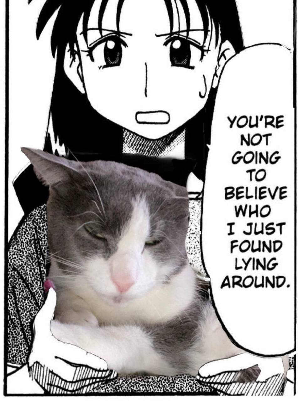YOU'RE МОТ GOING TO BELIEVE WHO I JUST FOUND LYING AROUND