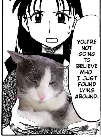 YOU'RE МОТ GOING TO BELIEVE WHO I JUST FOUND LYING AROUND