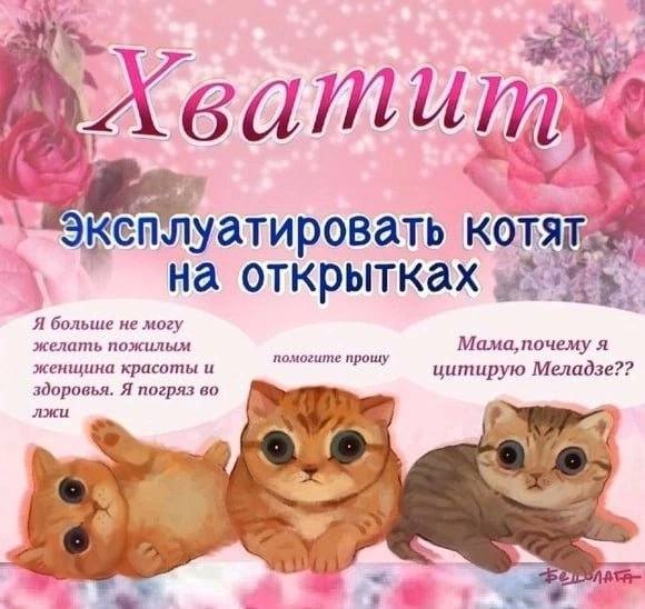 IKE плуатировать к A на открытках Я больше не могу желать пожилым я женщина красоты и помогите прошу цитирую Меладзе?? здоровья. Я погряз во лжи