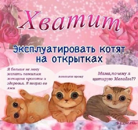 IKE плуатировать к A на открытках Я больше не могу желать пожилым я женщина красоты и помогите прошу цитирую Меладзе?? здоровья. Я погряз во лжи