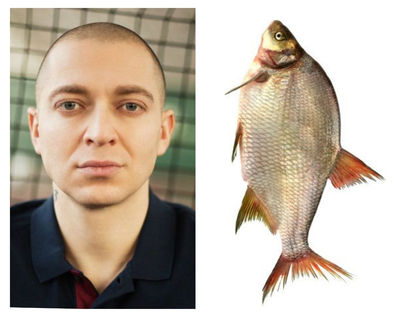 Оксимирон и лещ речной