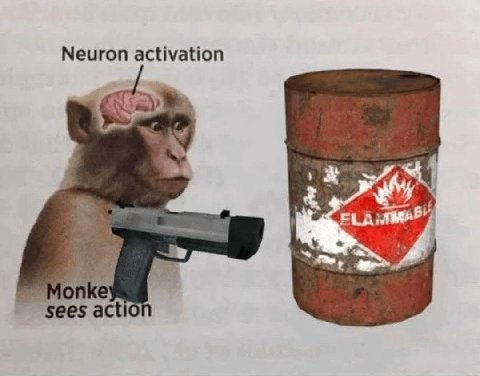 Neuron activation sees actic