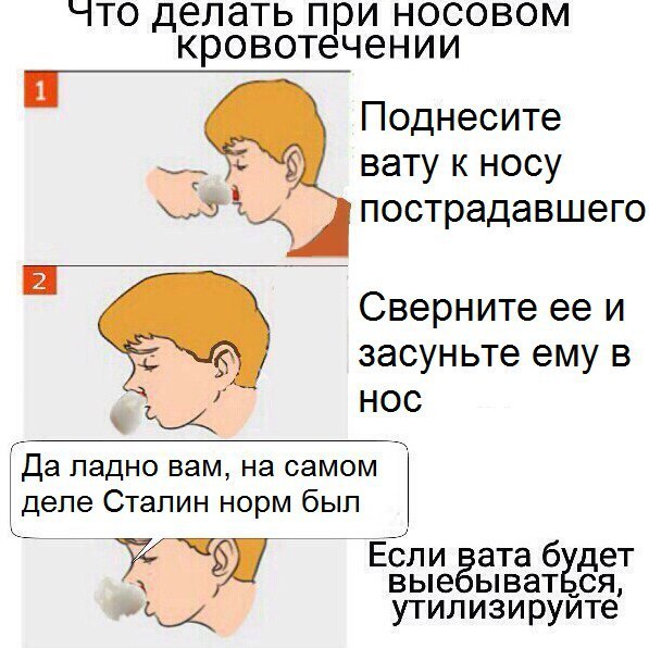 “TO делать при носовом кровотечении Поднесите вату к носу пострадавшего Сверните ее и засуньте ему в HOC ладно вам, самом Сталин норм был Если вата 6 дет выесываться, утилизируйте