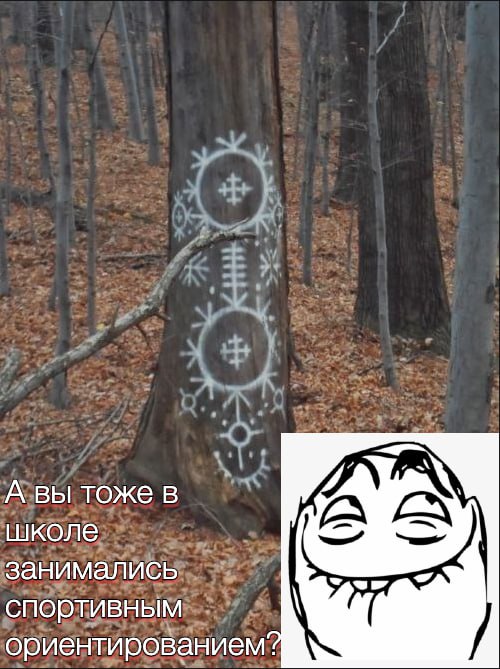 А вы тоже в ДА школе занимались спортивным ориентированием