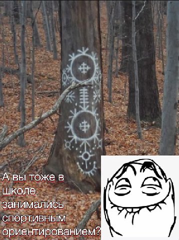 А вы тоже в ДА школе занимались спортивным ориентированием