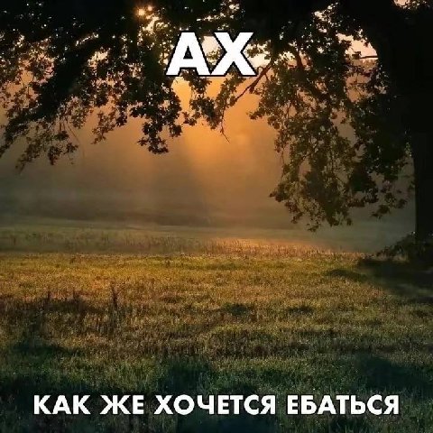 КАК ЖЕ ХОЧЕТСЯ ЕБАТЬСЯ