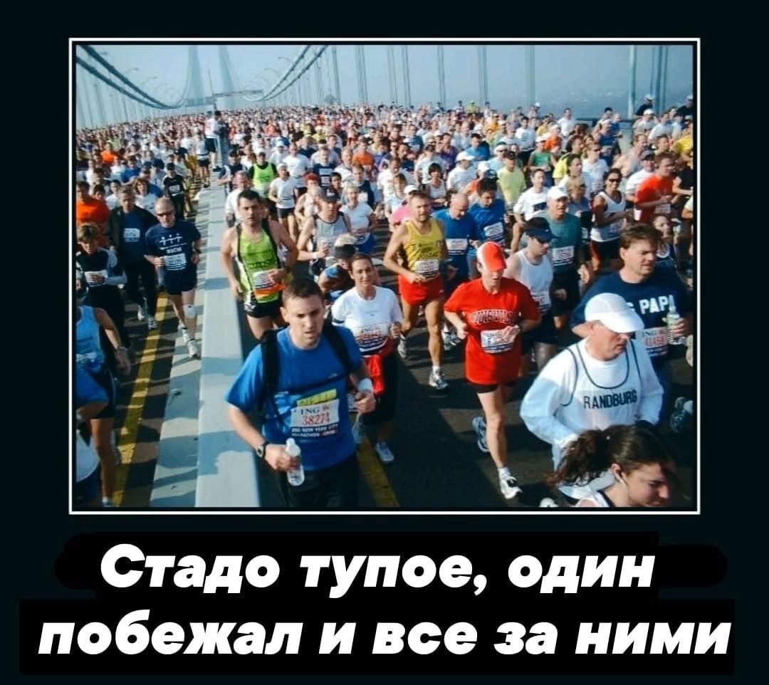 Стадо тупое, один побежал и все за ними