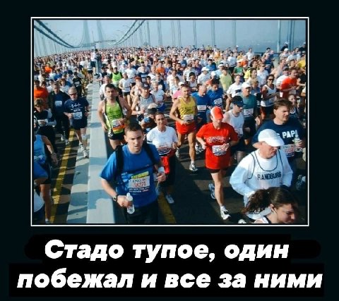 Стадо тупое, один побежал и все за ними