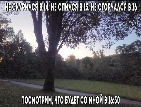 814, НЕСПИАСЯ 815, НЕСТОРЧАЛСЯ 16 НЕСК 1 у к в А ПОСМОТРИМ, ЧТО БУДЕТ 16:30