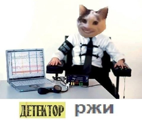 ржи