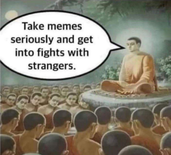 Take memes seriously and get into fights with strangers. А