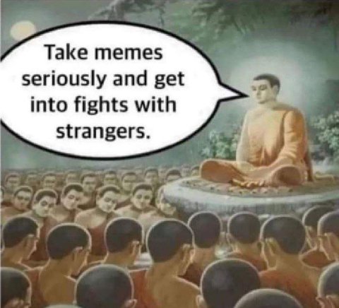 Take memes seriously and get into fights with strangers. А