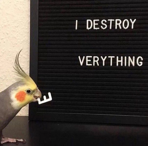 DESTROY