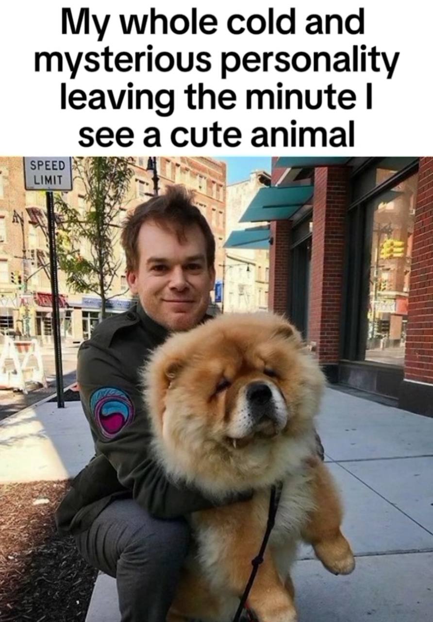 My whole cold and mysterious personality leaving the minute see a cute animal SPEED a =i