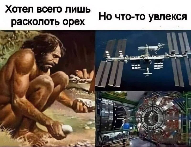 Хотел всего лишь Но что-то екс расколоть орех увл A