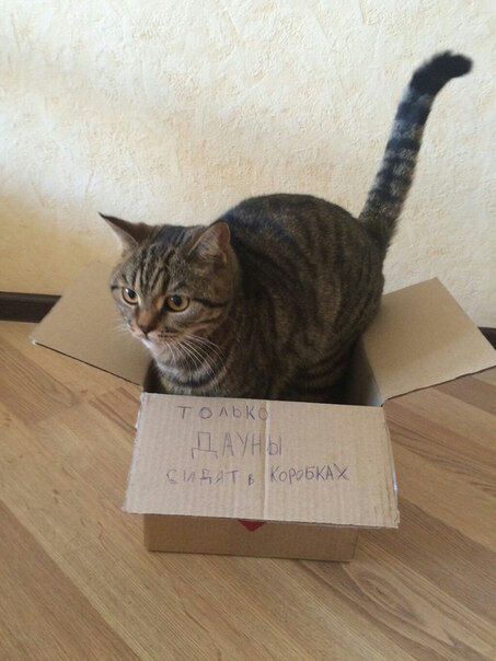 ЗА в