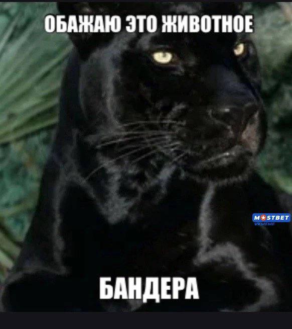 ОБАЖАЮ ЭТО ЖИВОТНОЕ БАНДЕРА