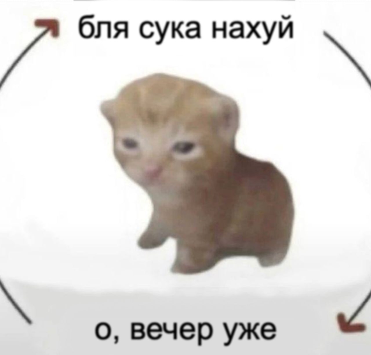 бля сука нахуй о, вечер уже