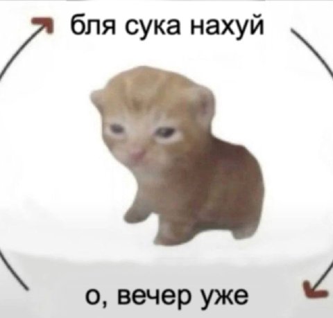 бля сука нахуй о, вечер уже