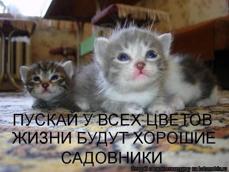 ЖИЗНИ