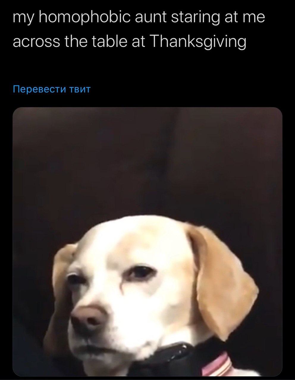 my homophobic aunt staring at me across the table at Thanksgiving Перевести твит