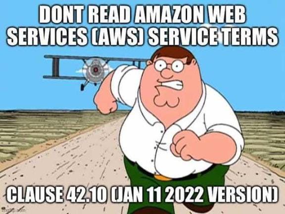DONT READ AMAZON WEB SERVICES SERVICETERMS "a i= 42:10. UAN 2022 VERSION):