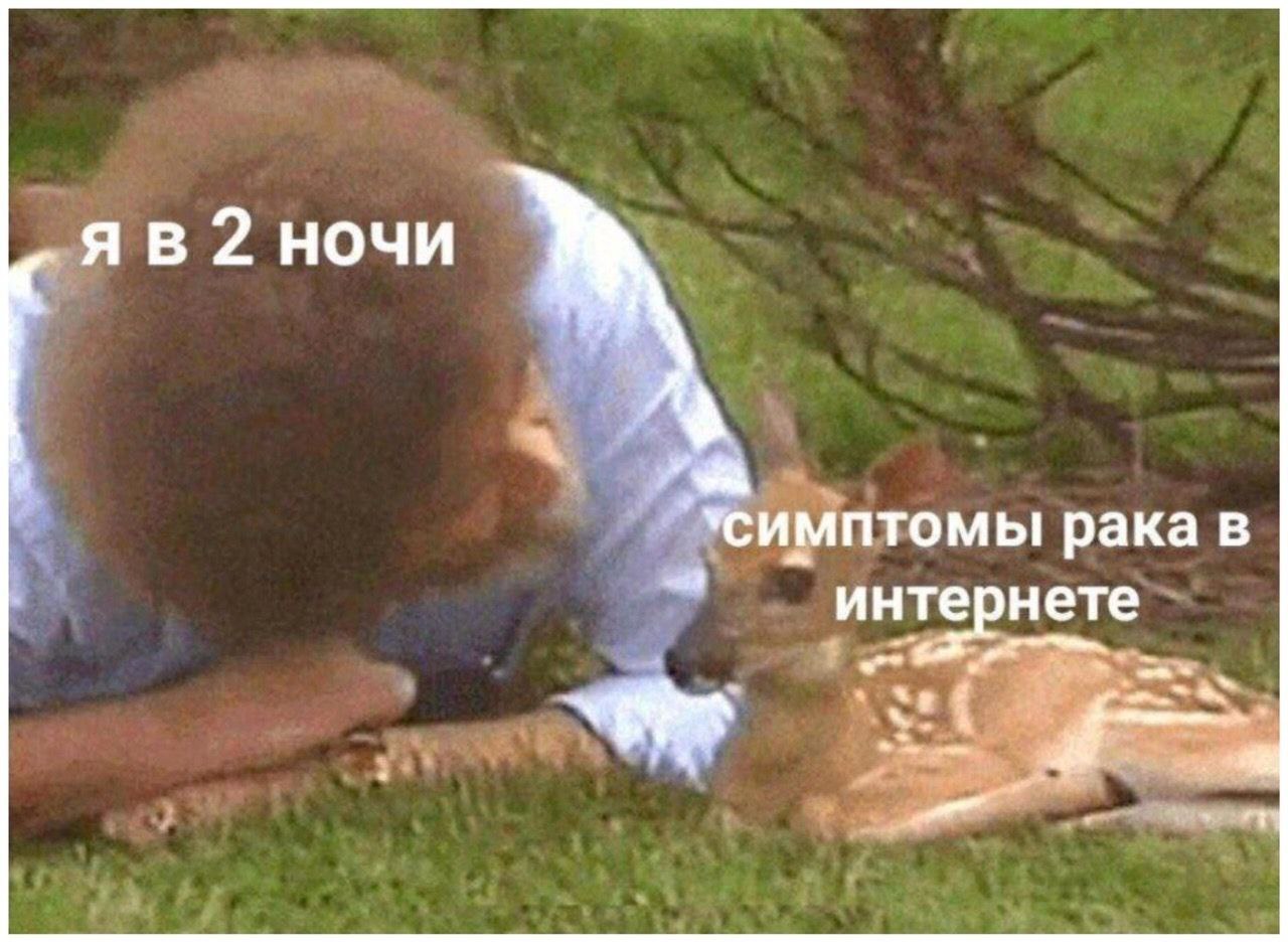 2 ночи рака в интернете