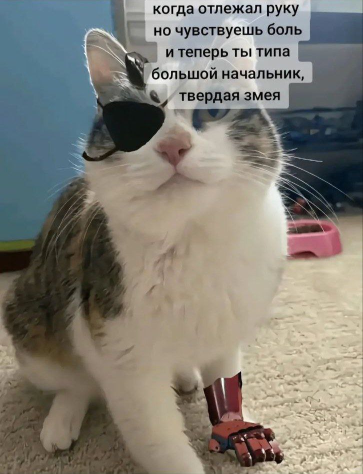 когда отлежал руку но чувствуешь боль и теперь ты типа большой начальник, твердая змея