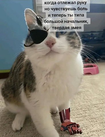 когда отлежал руку но чувствуешь боль и теперь ты типа большой начальник, твердая змея