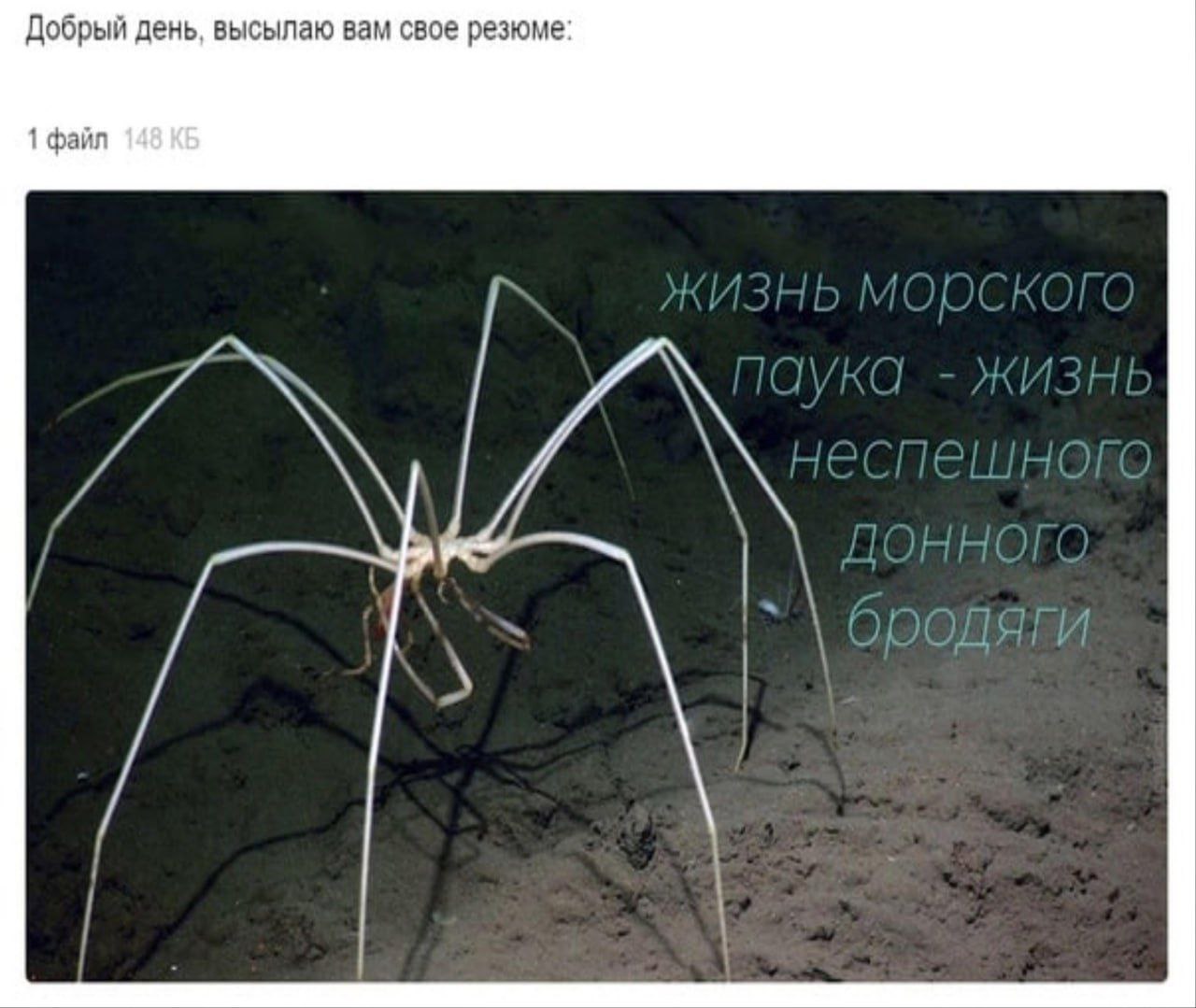 Добрый день, высылаю вам свое резюме: 1 файл