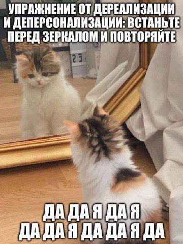 УПРАЖНЕНИЕ ДЕРЕАЛИЗАЦИИ И ДЕПЕРСОНАЛИЗАЦИИ: ВСТАНЬТЕ ПЕРЕД ЗЕРКАЛОМ И ПОВТОРЯИТЕ ДАДА ДАДАЯ ДА ДАЯ ДА